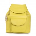 Dior Backpack Calfskin Leather D0909 Yellow VS00204