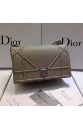 Dior Diorama Bag Original Leather CD13S Grey VS04086