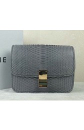 Replica Celine Classic Box Small Flap Bag Genuine Snake C11042 Grey VS04765