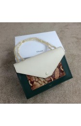 Replica Celine Pocket Handbag Seashell Snake Leather 175383 Green&Brown&White VS09354